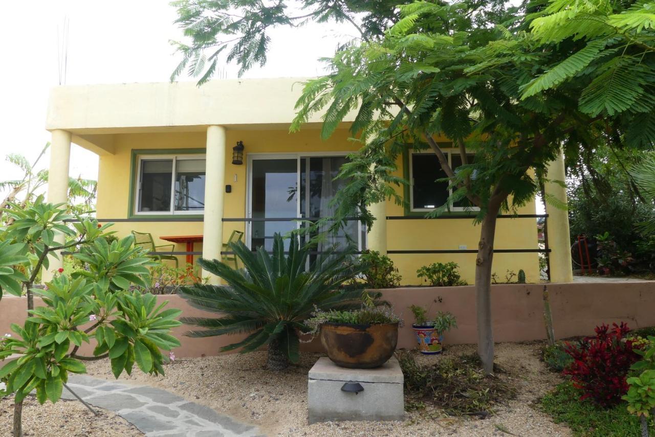 Casa Flores Casitas Todos Santos Ngoại thất bức ảnh