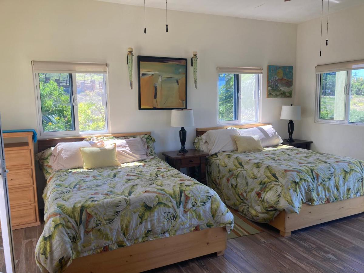 Casa Flores Casitas Todos Santos Ngoại thất bức ảnh